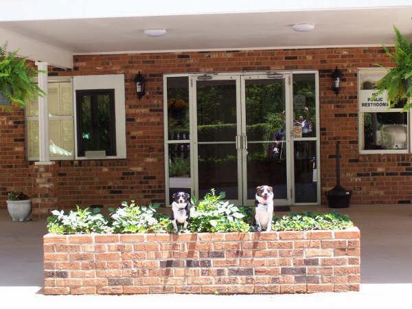 Durham Skyland Inn Bagian luar foto